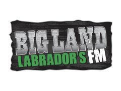 Bigland Labradors fm